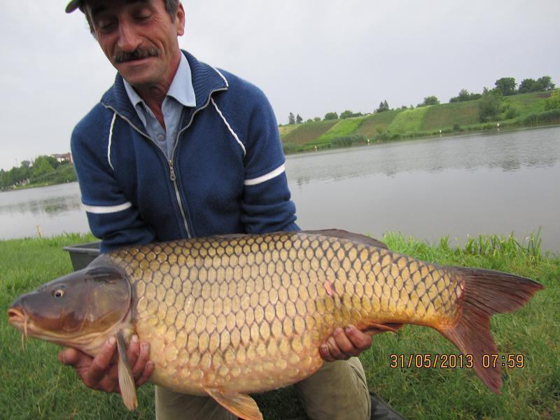 POPULARI MV2 - 2013 - crap-over-20kg-mv2.jpg